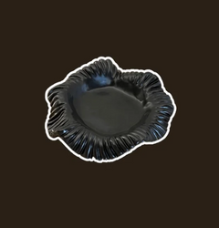 Thompson Lane - Small Dish (black)