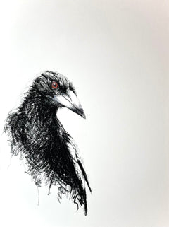 Shani White - Magpie