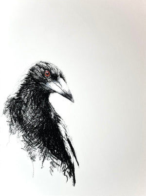 Shani White - Magpie