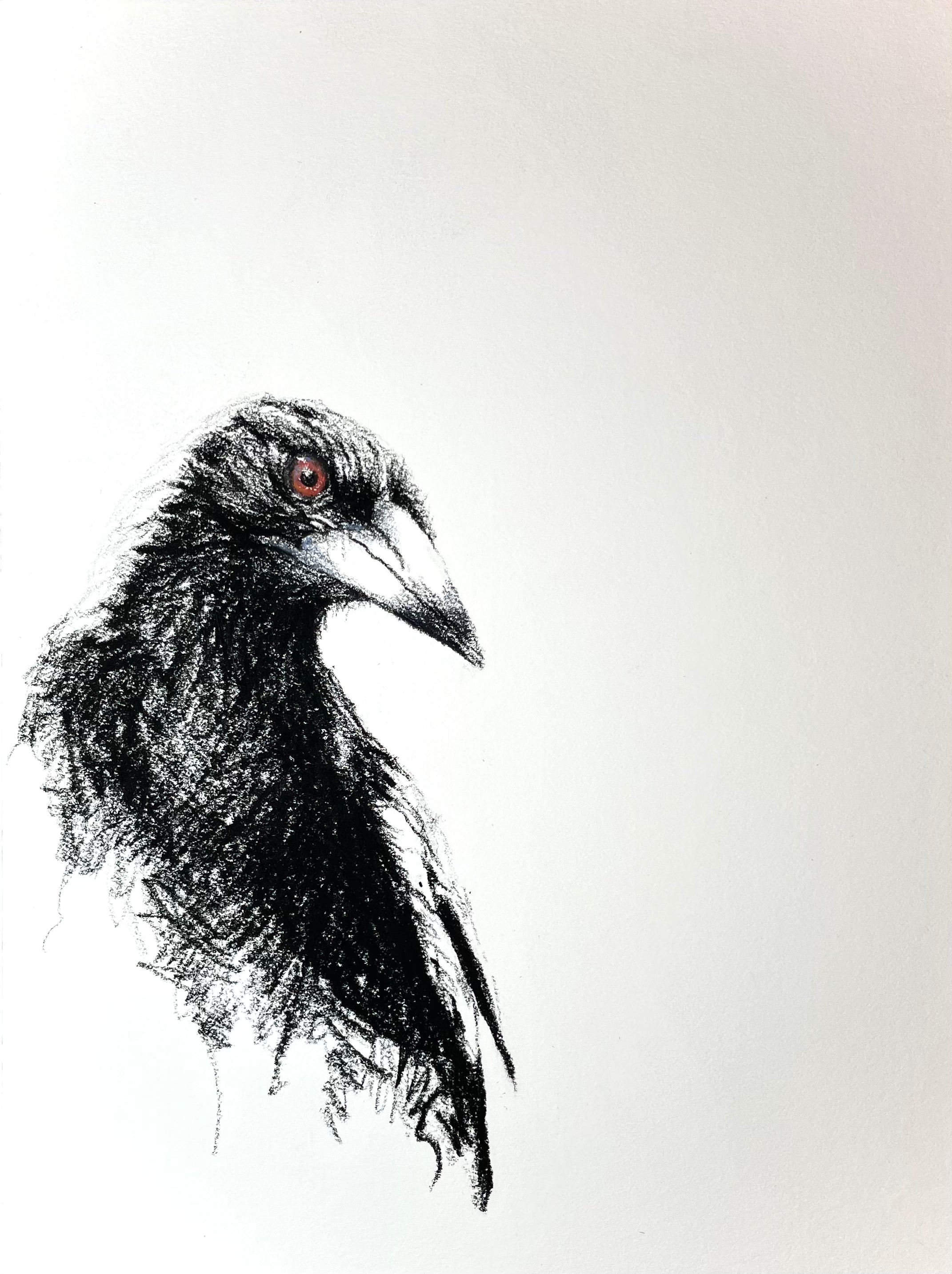 Shani White - Magpie