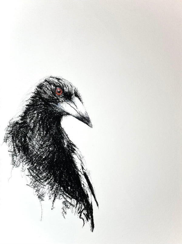 Shani White - Magpie