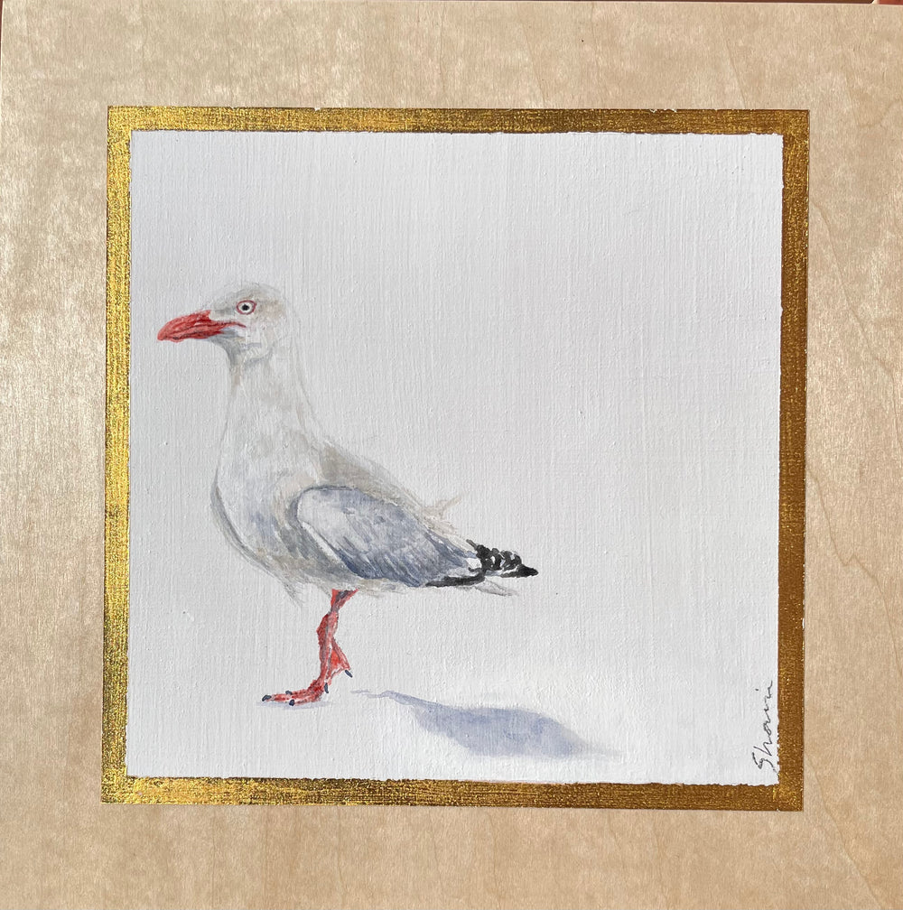 Shani White - Seagull #10