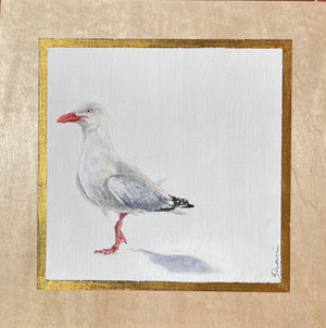 Shani White - Seagull #10