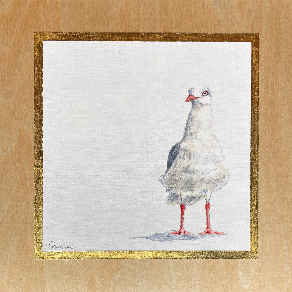 Shani White - Seagull #7