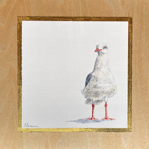 Shani White - Seagull #7