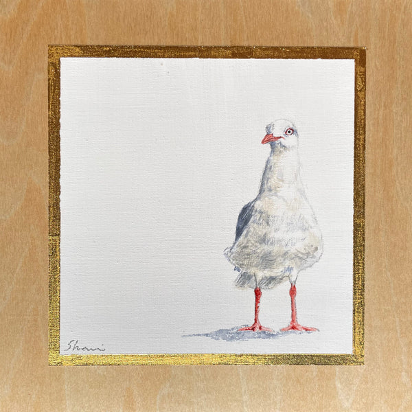 Shani White - Seagull #7