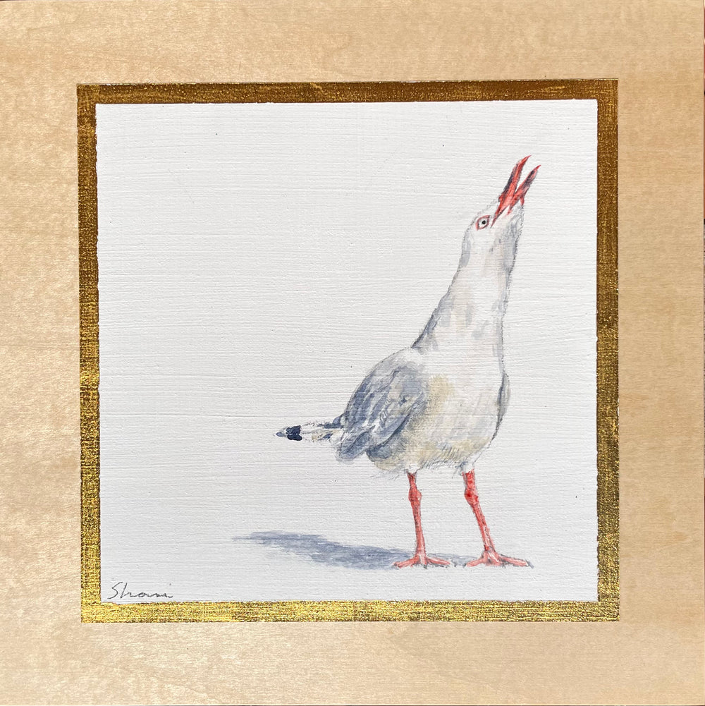 Shani White - Seagull #8