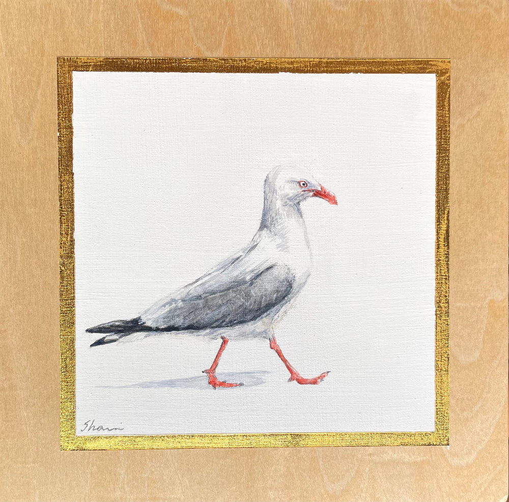 Shani White - Seagull #9