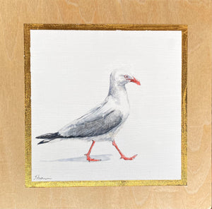 Shani White - Seagull #9