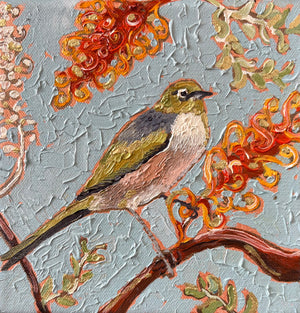 Kobie Bosch - Silvereye