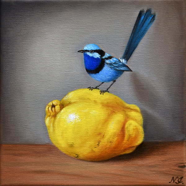 Natasha Junmanee - Splendid fairy-wren on a quince