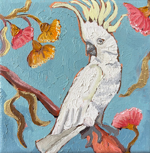 Kobie Bosch - Sulphur-crested Cockatoo