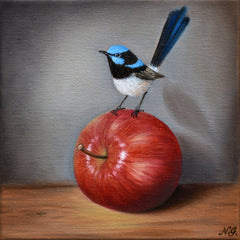 Natasha Junmanee - Superb fairy-wren on an apple