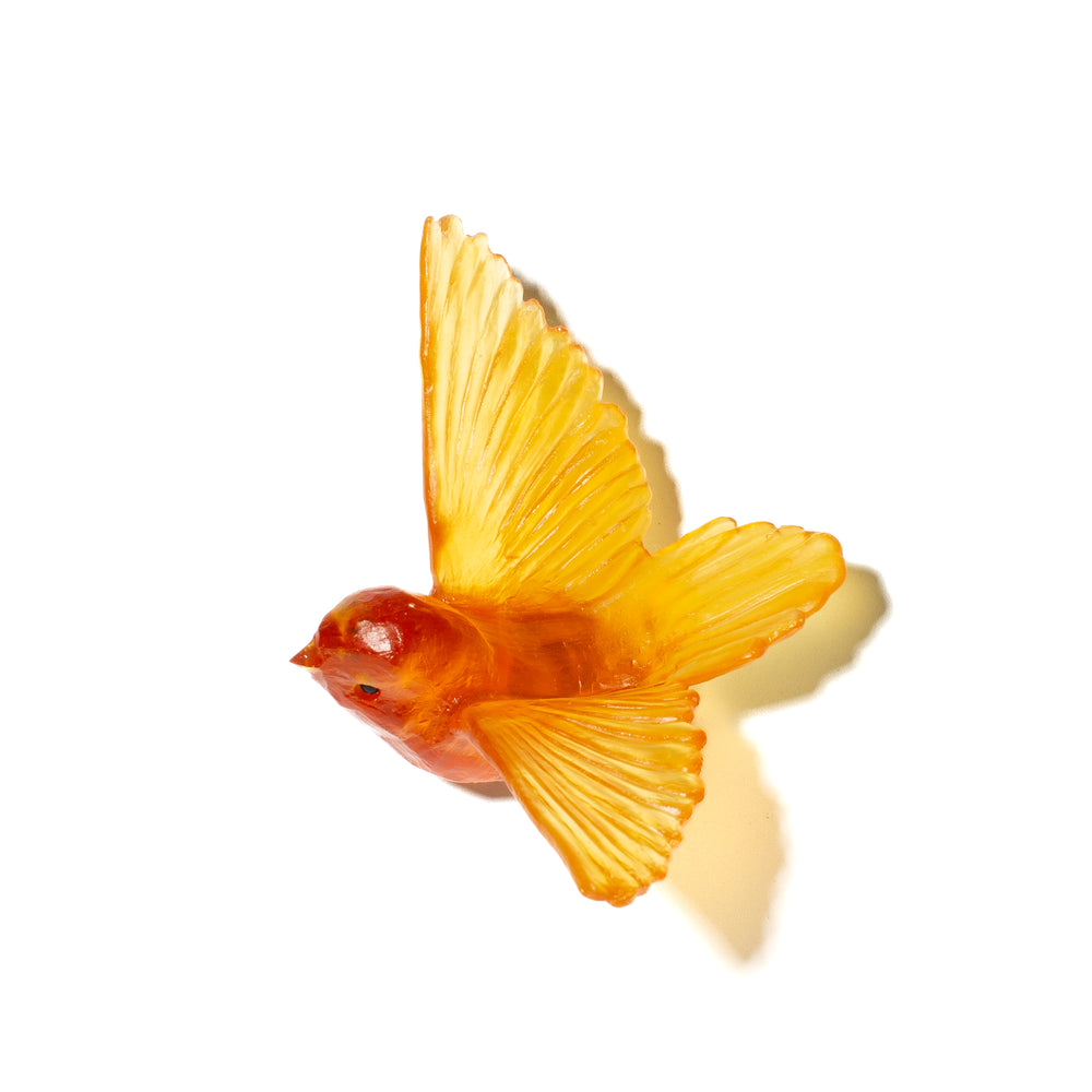 Luke Jacomb Studio - Tomtit Orange