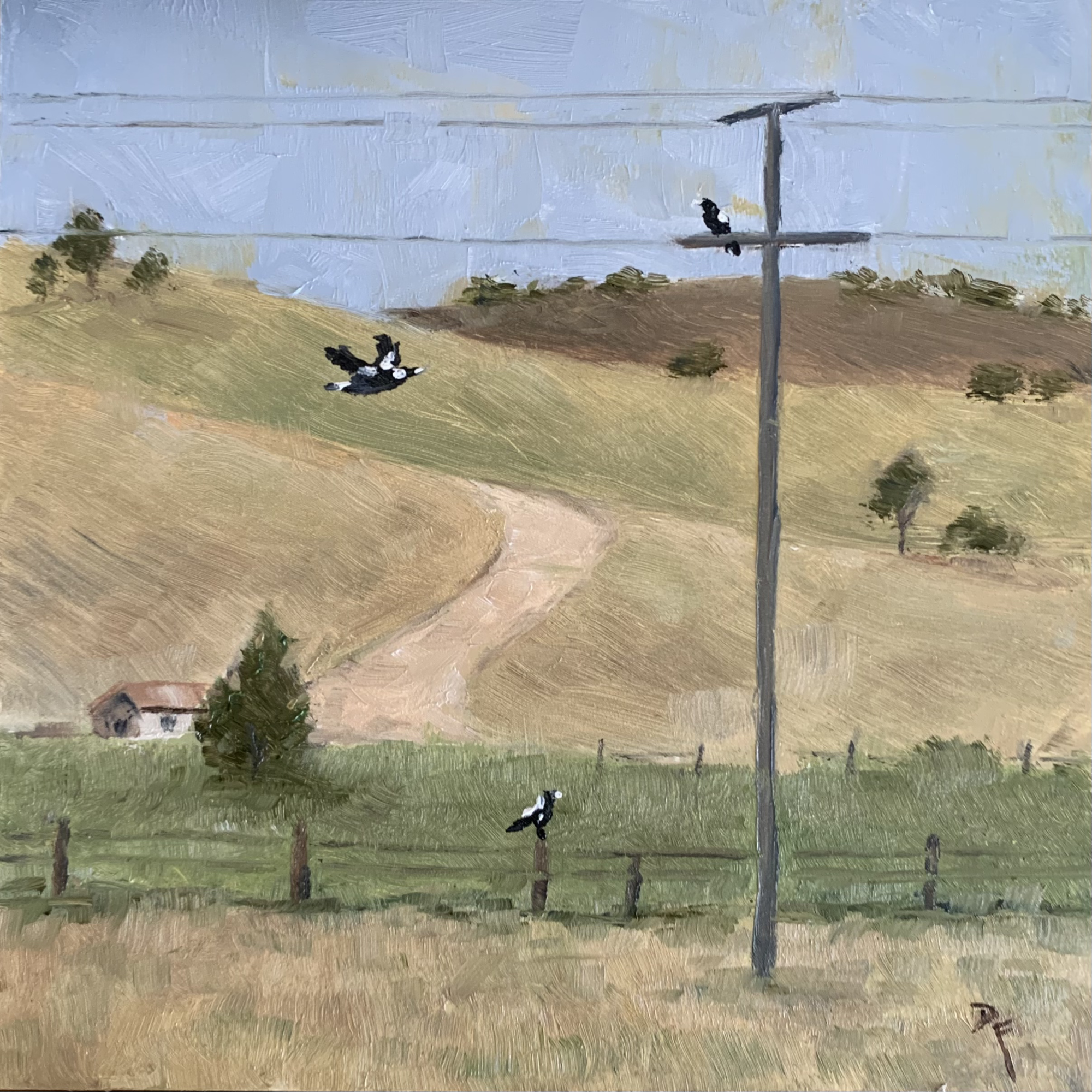 Darren Frisina - The Afternoon Choir Convenes