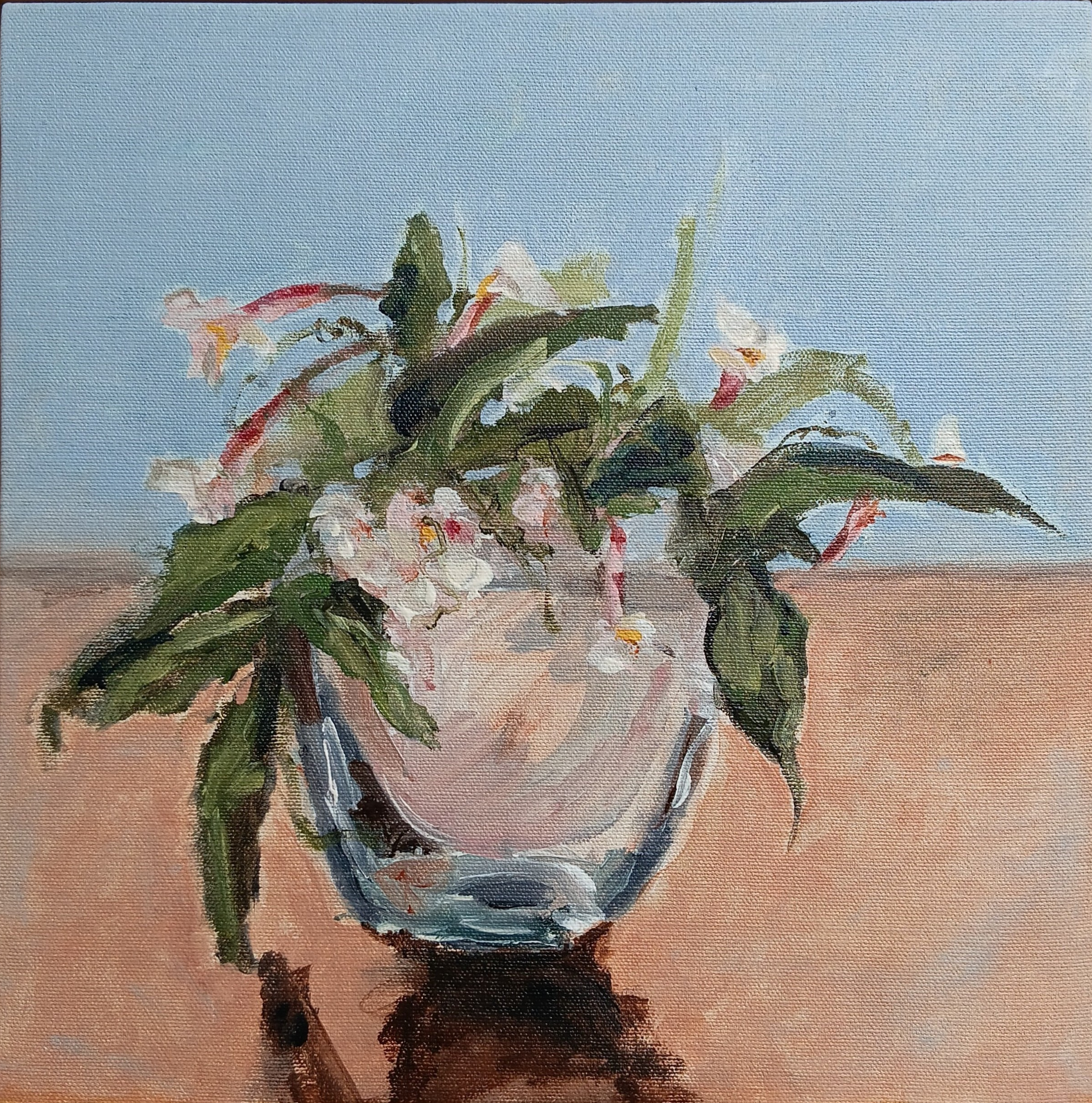 Anna Davi - The Last of the Jasmine