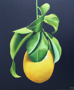 Nell Symonds -  Tocco