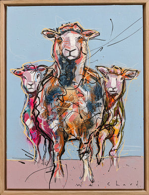 Aidan Weichard - Sheepish View