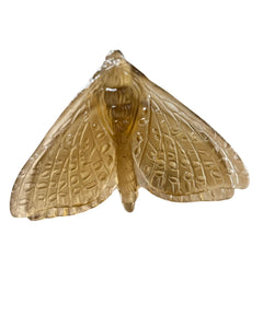 Luke Jacomb Studio - Moth (Wings down - Bronze)