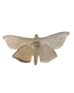 Luke Jacomb Studio - Moth (Wings Out - Pale Bronze)