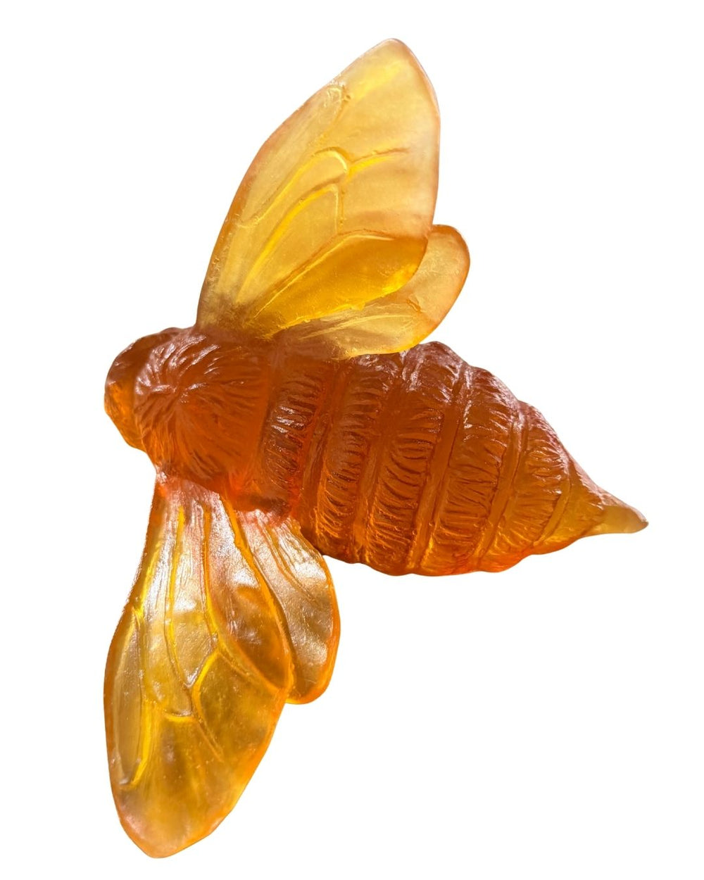 Luke Jacomb Studio - Bee (Orange)