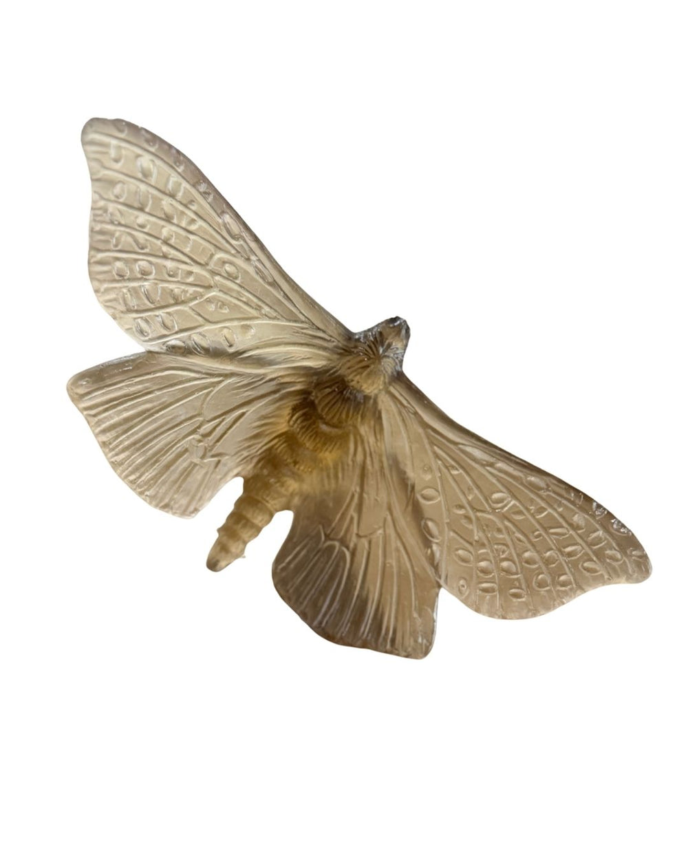 Luke Jacomb Studio - Moth (Wings Out - Bronze)