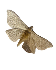 Luke Jacomb Studio - Moth (Wings Out - Bronze)