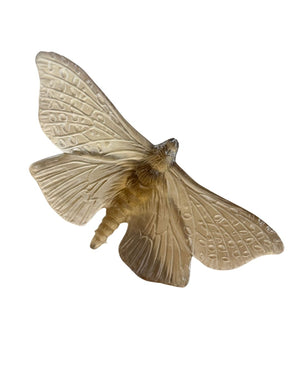 Luke Jacomb Studio - Moth (Wings Out - Bronze)