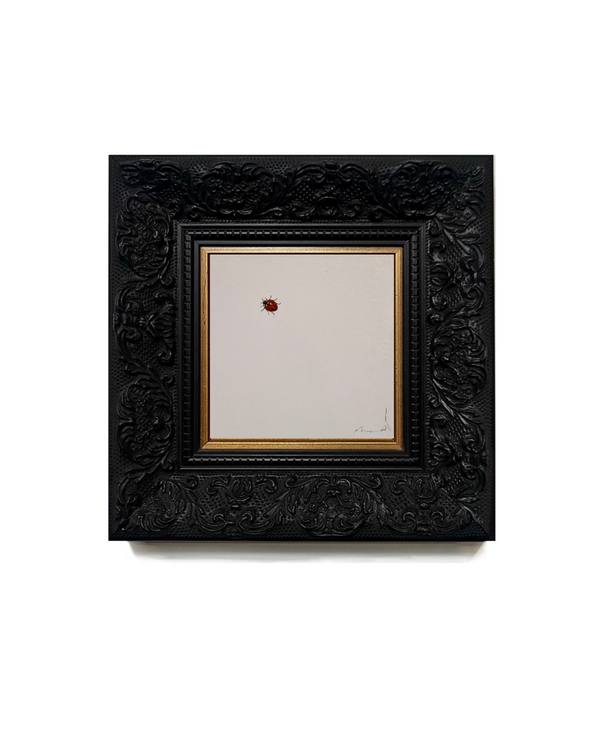 Monique Correy - My Lady