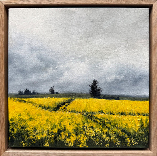 Kelly Kondis - Vestige