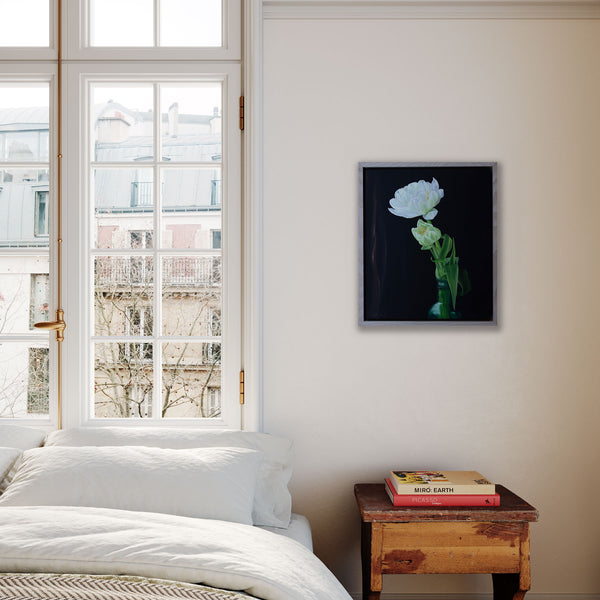 Sarah Field - White Tulips