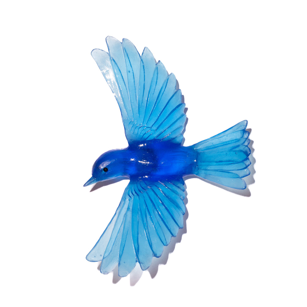 Luke Jacomb Studio - Yellowhead Aquamarine