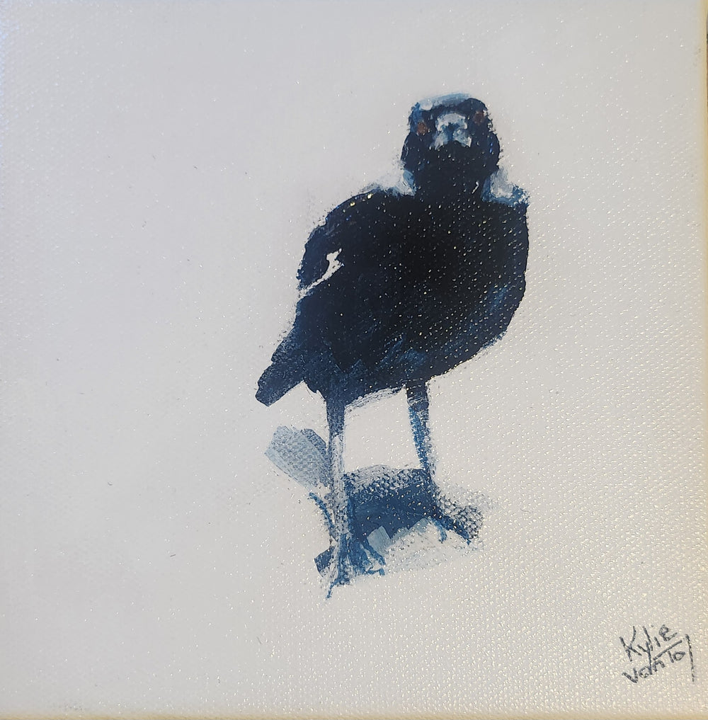 Kylie Van Tol - Magpie Syd 3