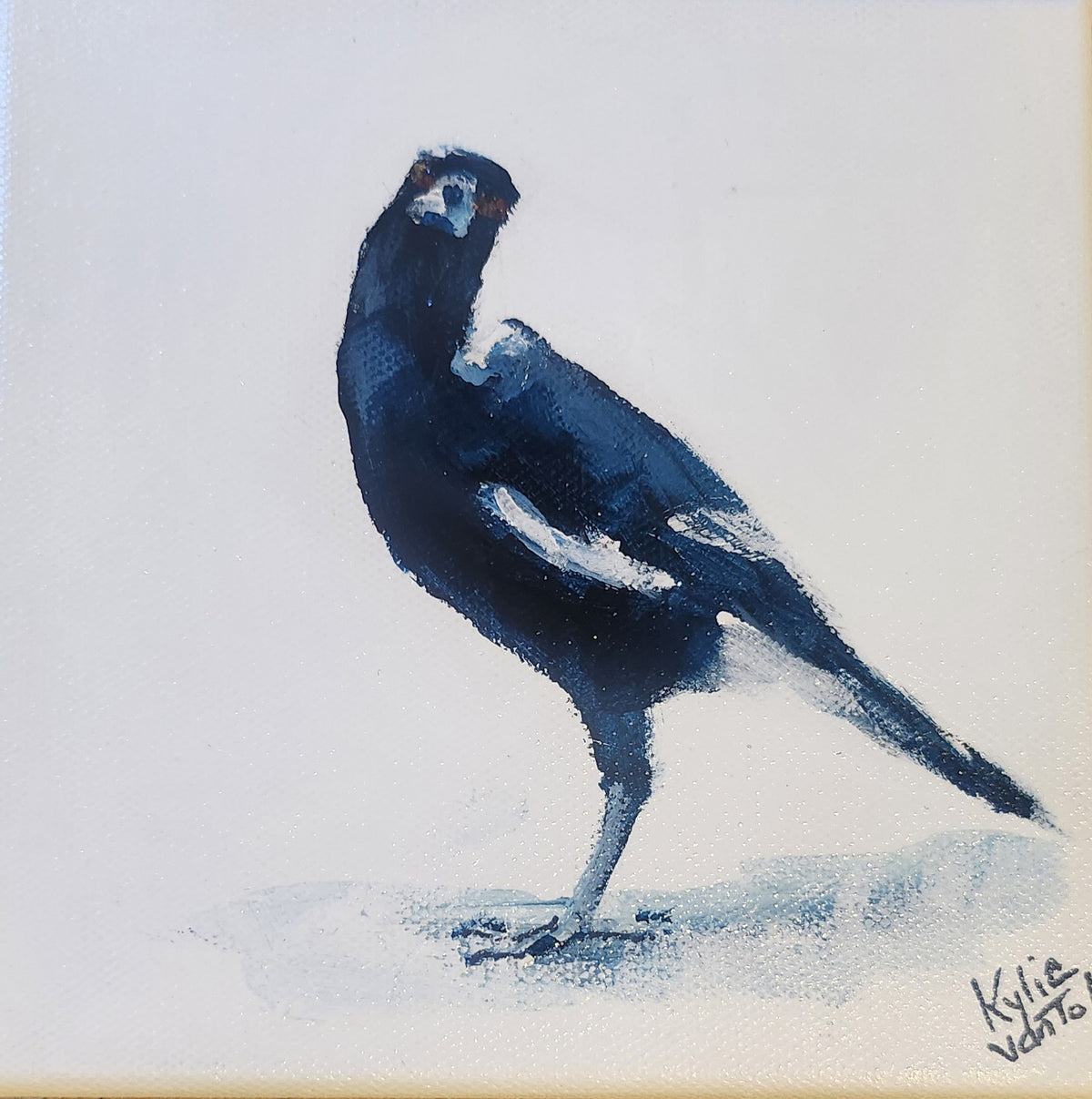 Kylie Van Tol - Magpie Syd 14