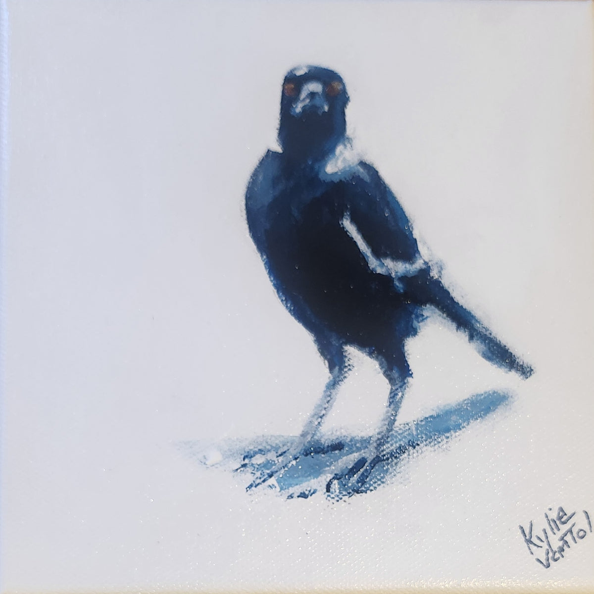 Kylie Van Tol - Magpie Syd 15