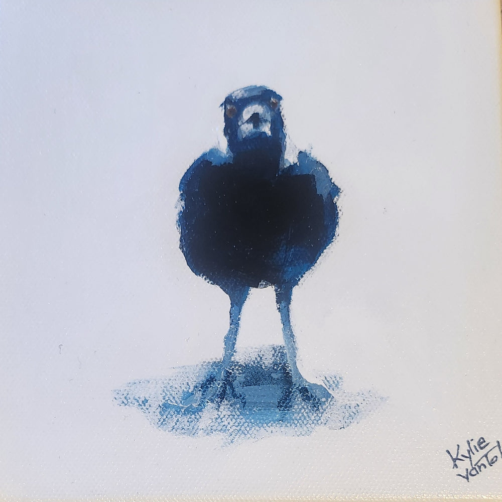 Kylie Van Tol - Magpie Syd 9