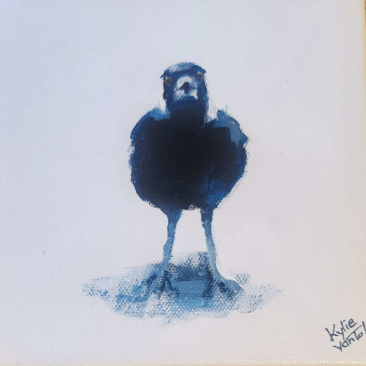 Kylie Van Tol - Magpie Syd 9