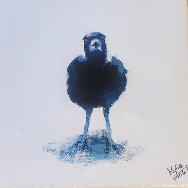 Kylie Van Tol - Magpie Syd 9