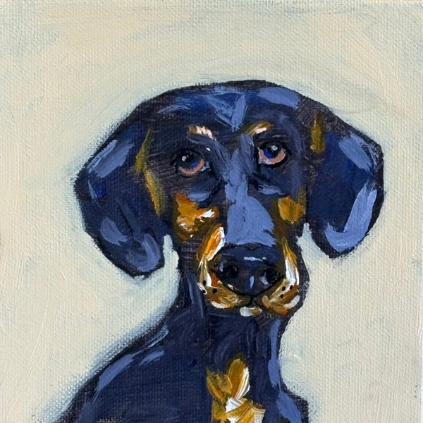 Karen Gray - Dasha