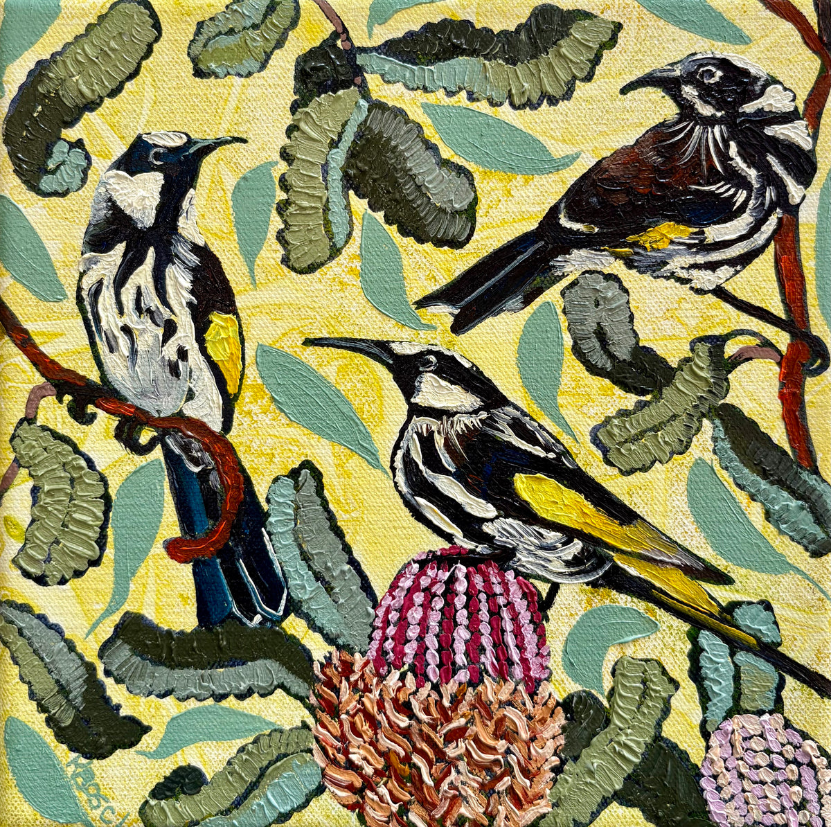 Kobie Bosch - Trio of White Cheeked Honey-Eaters