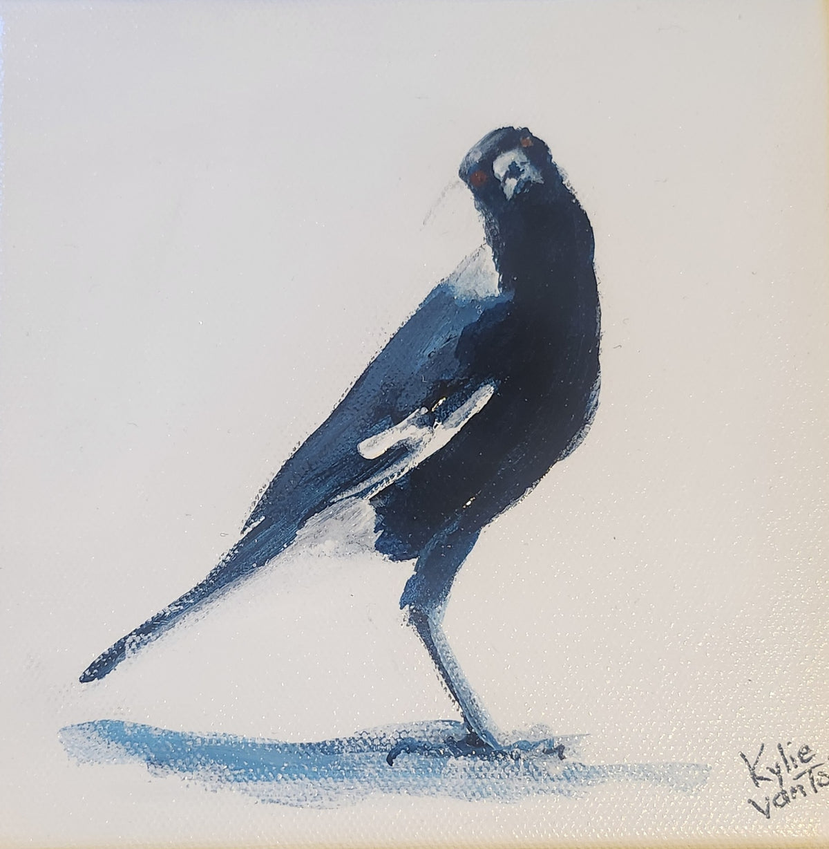 Kylie Van Tol - Magpie Syd 1