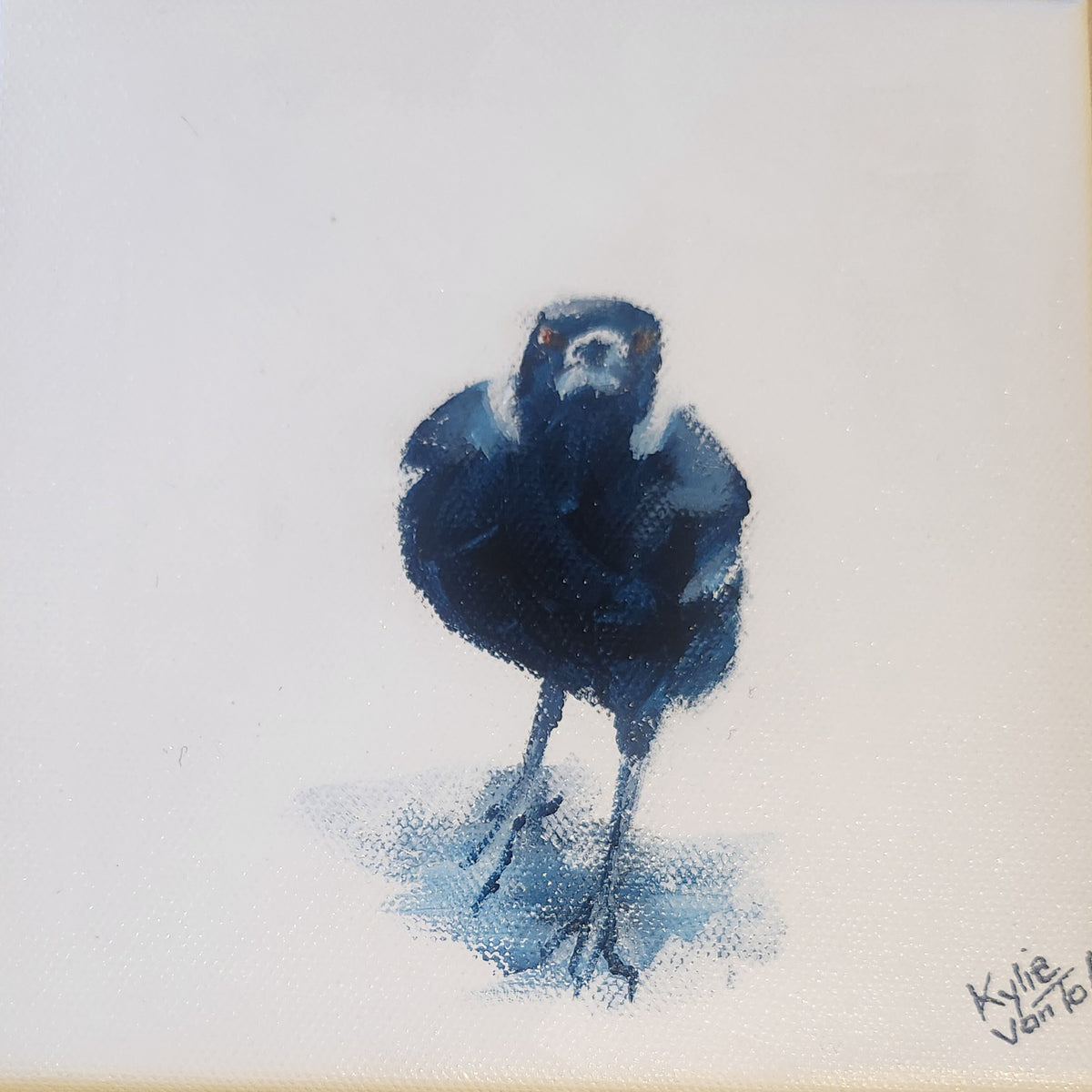 Kylie Van Tol - Magpie Syd 10