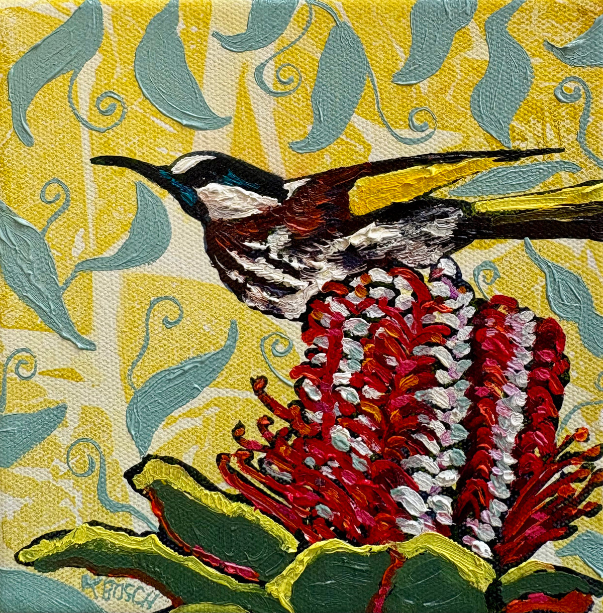 Kobie Bosch - White Cheeked Honey-Eater