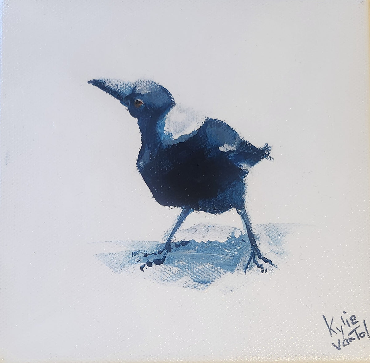 Kylie Van Tol - Magpie Syd 11