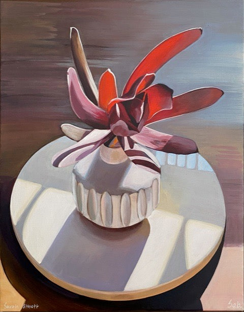 Sarah Abbott - Leucadendron Love