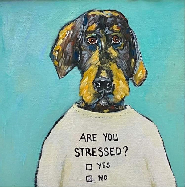 Karen Gray - Are you stressed II