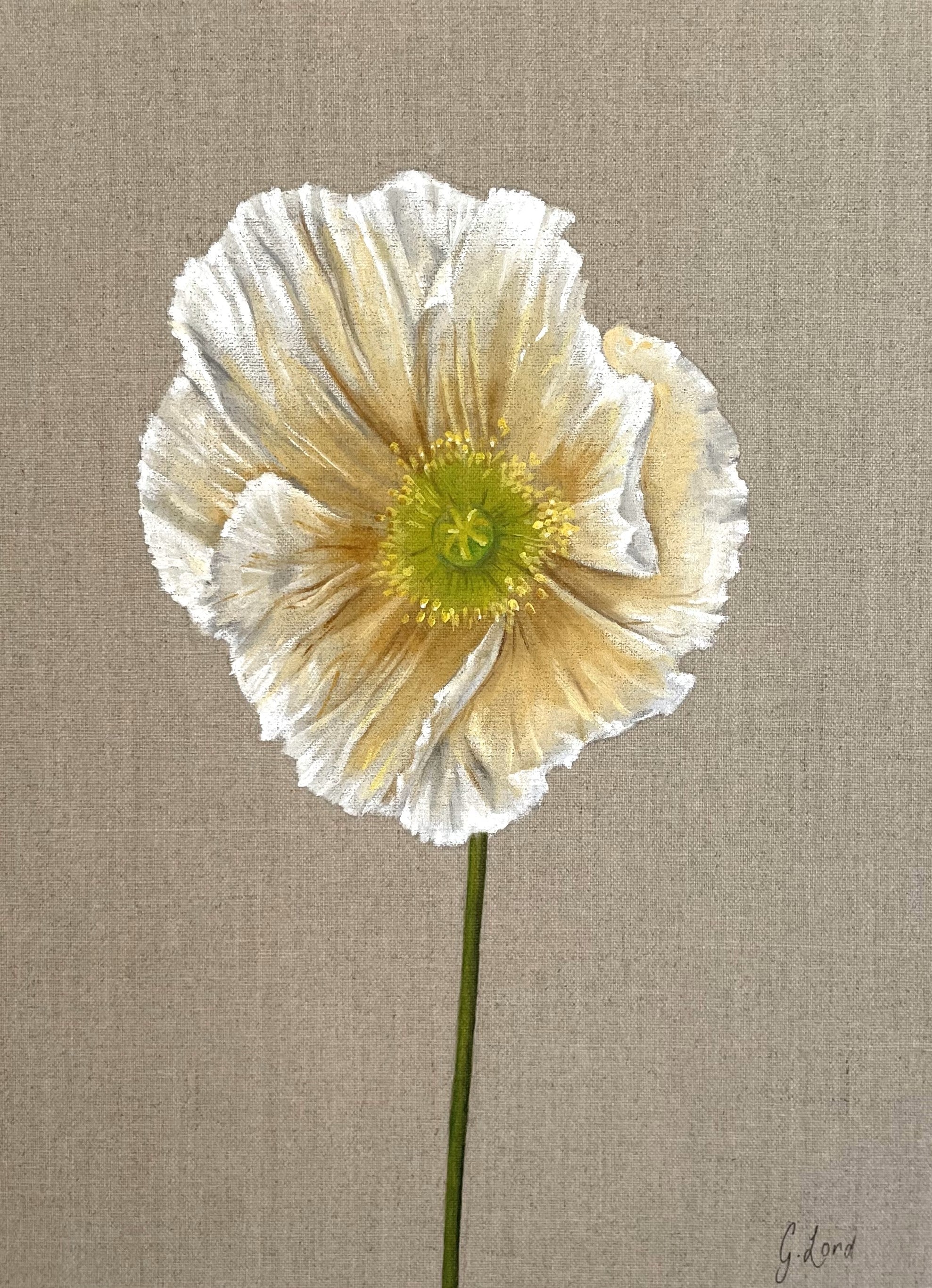 Gabi Lord - Summer Solstice