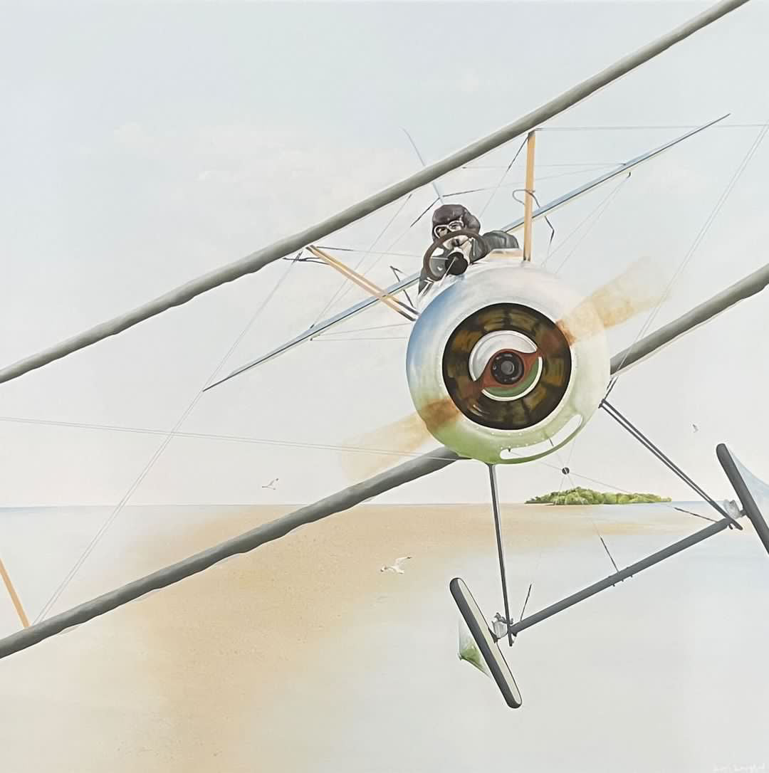 Kim Knight - Joyride