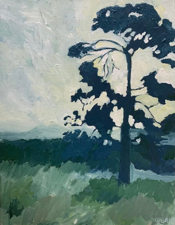 Ingrid Haughton - Paddock Tree