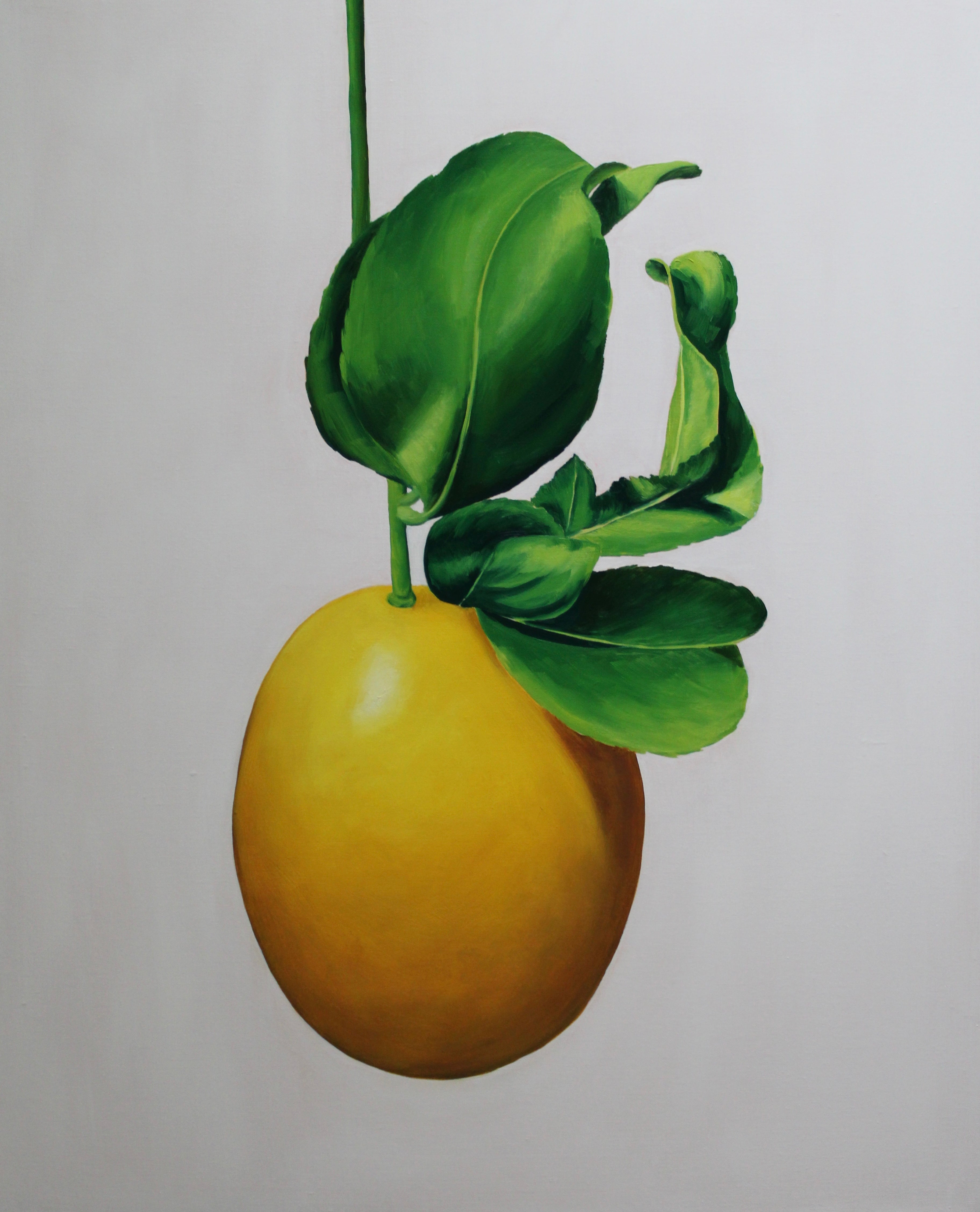 Nell Symonds - Boccioleto